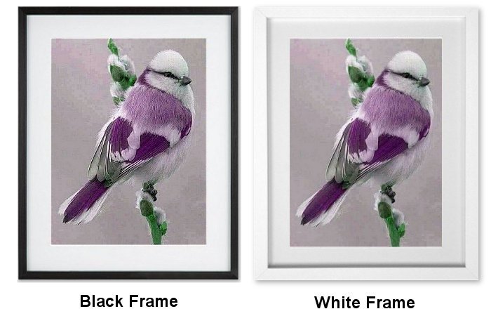 Purple Bird Framed Print